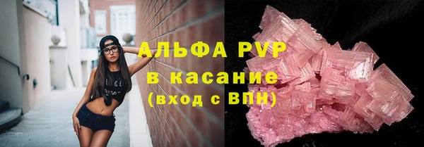 прущие грибы Нягань