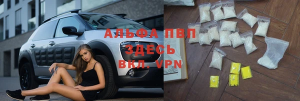 молекула духа Няндома