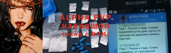 молекула духа Няндома