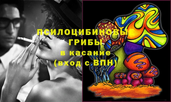 молекула духа Няндома