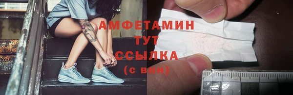 молекула духа Няндома