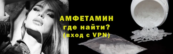 прущие грибы Нягань