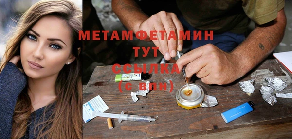 прущие грибы Нягань