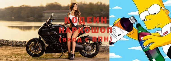 молекула духа Няндома