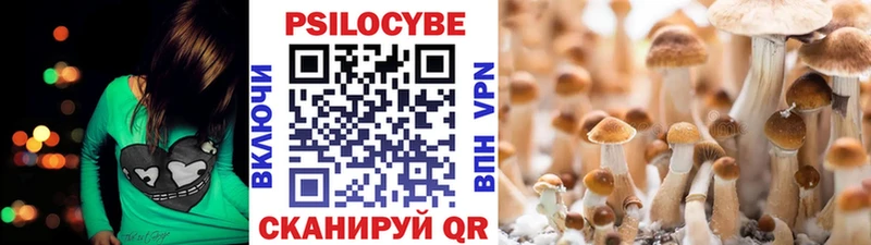 дарнет шоп ОМГ ОМГ ссылки Галлюциногенные грибы Psilocybine cubensis Омск