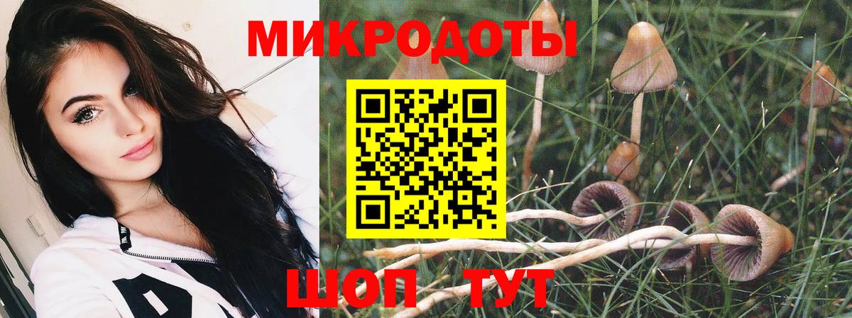 Галлюциногенные грибы MAGIC MUSHROOMS Омск