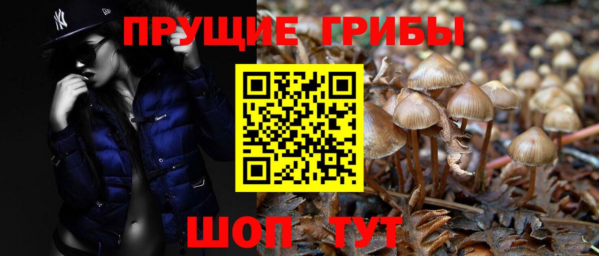 Псилоцибиновые грибы прущие грибы  Вход с VPN  Омск 